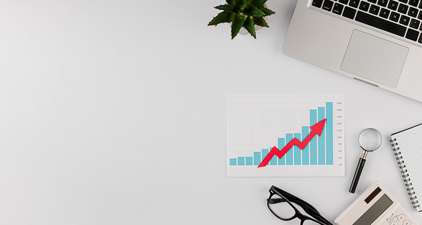 Statutory accounts image